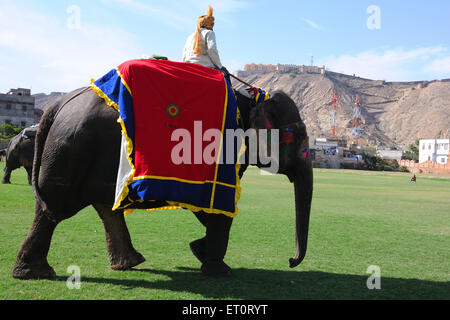 Bemalter Elefant, Elefantendekoration, Elefantendekoration, Elefantenparade, Elefantenfestival. Jaipur, Rajasthan, Indien, indische Festivals Stockfoto