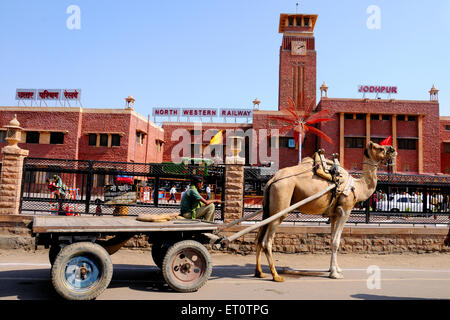 Kamel Wagen vor Jodhpur Bahnhof; Jodhpur; Rajasthan; Indien Stockfoto