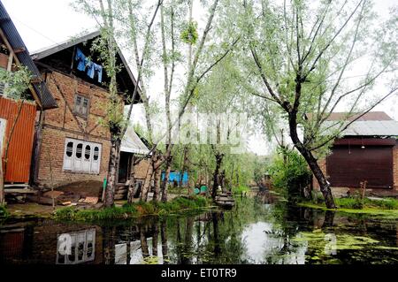 Haus am dal-See; Srinagar; Jammu und Kaschmir; Indien Stockfoto