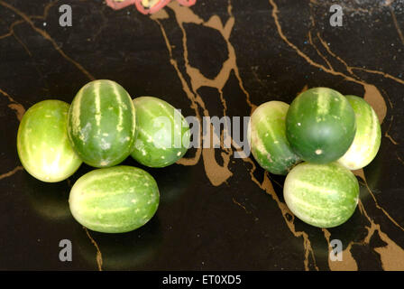 Bittere Früchte, um den Dämonenkönig Narakasura Head zum Narak Chaturdashi Diwali Festival Bombay Mumbai Maharashtra Indien zu zeigen Stockfoto