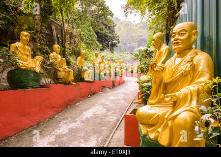 Statuen im Kloster der Zehntausend Buddhas in Sha Tin, Hong Kong, China. Stockfoto
