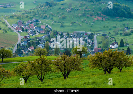 Frühling am Morgen in Wintersingen, Kanton Basel-Landschaft, Schweiz. Stockfoto