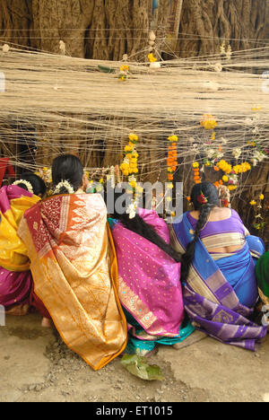 Indische Frauen, die mit banyan Tree Andre, VAT Savitri Festival, VAT Purnima Festival, Bombay, Mumbai, Maharashtra, Indien Stockfoto