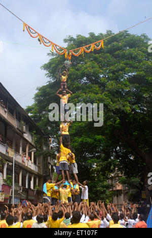 Menschenpyramide Dahi Handi auf Janmashtami Festival in Dadar brechen; Bombay; Mumbai; Maharashtra; Indien Stockfoto