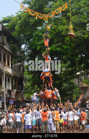 Menschliche Pyramide versucht, Dahi Handi auf Janmashtami Festival in Dadar zu brechen; Bombay; Mumbai; Maharashtra; Indien Stockfoto