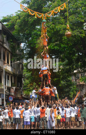 Menschenpyramide Dahi Handi auf Janmashtami Festival in Dadar brechen; Bombay; Mumbai; Maharashtra; Indien Stockfoto