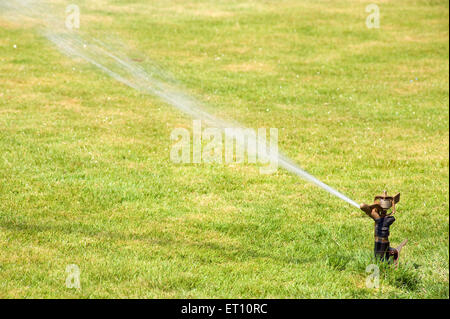 Wasser Sprinkler im Garcia de Orta jetzt kommunale Garden; Panjim; Goa; Indien Stockfoto