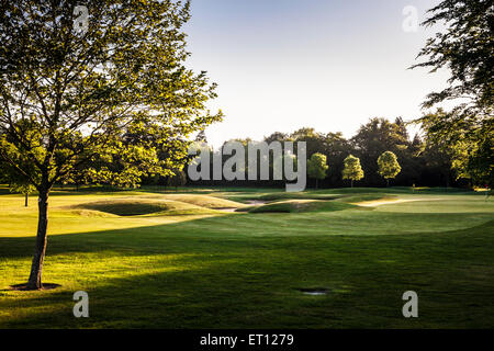 Ein typischer Golfplatz in der frühen Morgensonne. Stockfoto