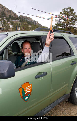 National Park Service Biologe mit einem Radio GPS Fahrzeugortung um Elch in Rocky Mountain Nationalpark, Colorado, USA zu überwachen. HERR Stockfoto