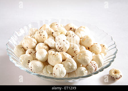 Trockenobst; Makhana Fuchs Mutter; weiße Kugel; Euryl Ferox; Indien Stockfoto