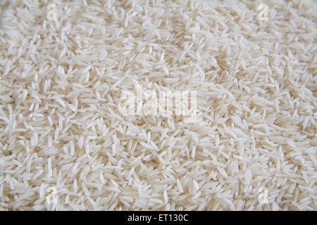 Körner; Basmati Reis Oryza Sativa auf grauem Hintergrund 20. Mai 2010 Stockfoto