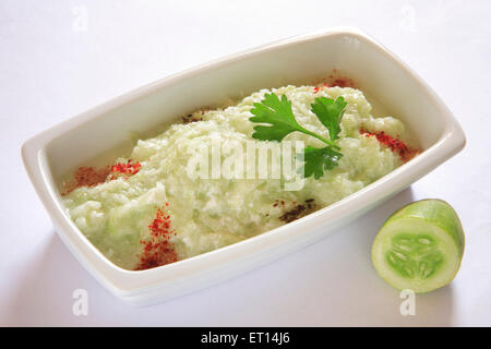 Gemüsesalat; Gurke und Quark Kakri ka Raita garniert mit Koriander Blatt im Rechteck Platte auf weißem Hintergrund Stockfoto