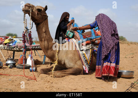 Gypsy tribal Frauen tragen Haushalt Sache auf Kamel; Kutch; Gujarat; Indien Stockfoto