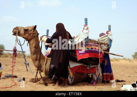 Gypsy tribal Frauen tragen Haushalt Sache auf Kamel; Kutch; Gujarat; Indien Stockfoto