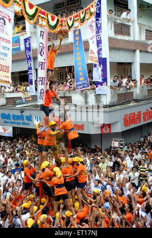 Mädchen brechen Dahi Hundi menschliche Pyramide auf Janmashtami Gokulashtami; Bombay Mumbai; Maharashtra; Indien nicht Herr Stockfoto