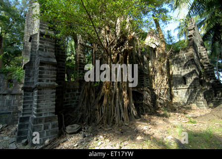 Ruinen der alten Britischen Kirche, Ross Island, Südandaman Inseln, Port Blair, Andaman und Nicobar Inseln, Unionsgebiet von Indien, UT, Indien, Stockfoto