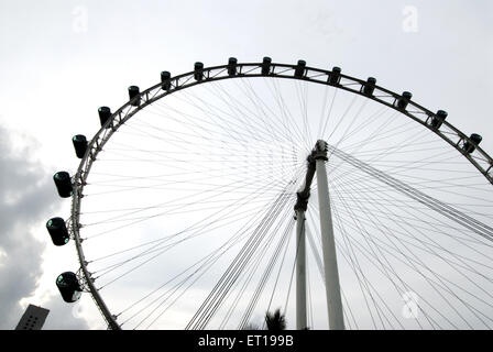 Flyer Welt größten Riesen Riesenrad; Singapur Stockfoto