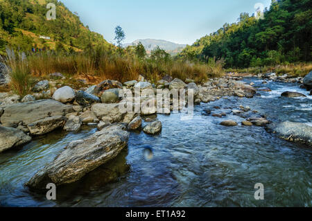 Reshi Fluss Wasser Felsen auf Sikkim, Indien Stockfoto