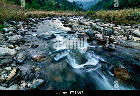 Reshi Fluss Wasser fließt auf Felsen Sikkim, Indien Stockfoto