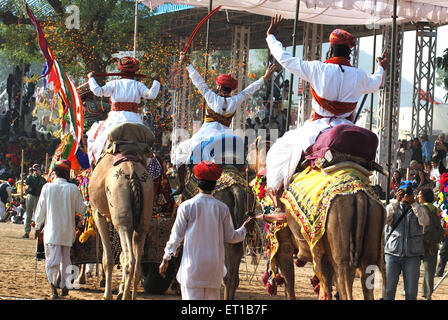Kamele in Pushkar fair marschieren; Rajasthan; Indien Stockfoto