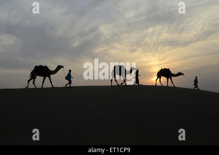 Kamele und Männer gehen auf Sand Düne Sonnenuntergang in Jaisalmer, Rajasthan Indien Stockfoto