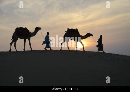 Kamele und Männer gehen auf Sand Düne Sonnenuntergang in Jaisalmer, Rajasthan Indien Stockfoto