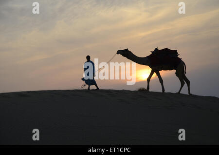 Kamel und Mann gehen Sanddüne in Jaisalmer Atr Rajasthan Indien auf Stockfoto