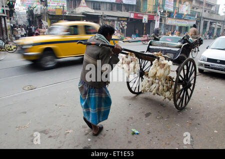 Mann hält Hand Rikscha unterwegs Kolkata West Bengal Indien Asien Stockfoto