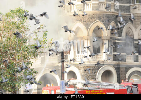 Vögel fliegen vor dem Taj Mahal Hotel brennt; Terroranschlag von Deccan Mudschaheddin am 26. November 2008 in Bombay Stockfoto