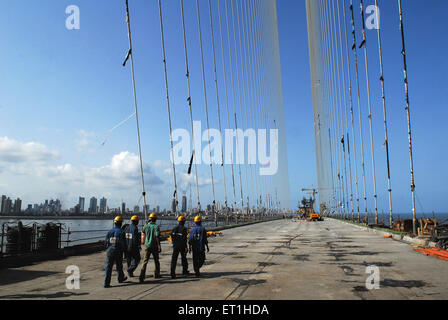 Ingenieure gehen auf Freischwinger Bandra Worli Sea link bekannt Rajiv Gandhi-Brücke; Bombay Mumbai; Maharashtra; Indien Stockfoto