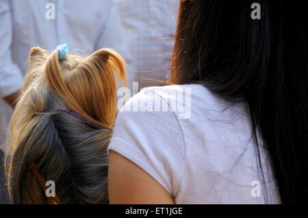 Lady sitzt mit Yorkshire Terrier Hund Stockfoto