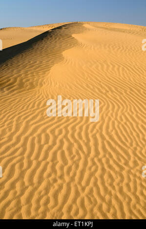 Landschaft aus Sanddünen Khuri Jaisalmer Rajasthan Indien Asien Stockfoto