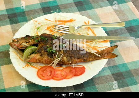 Fischbraten, gebratener Fisch, Küstenfutter, Cochin, Kochi, Kerala, Indien, Asien Stockfoto