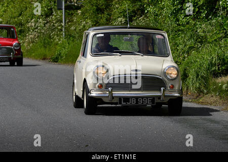 1960er Jahren Austin Mini Cooper Oldtimer auf Country Road, Burnfoot, County Donegal, Irland. Stockfoto