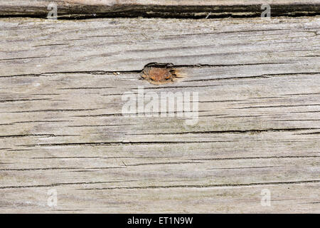 Nahaufnahme von Holzplatten Stockfoto