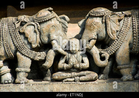 Statuen von Elefanten geschnitzt auf Hoysaleswara Tempel; Halebid Dorasamudra; Hassan; Karnataka; Indien Stockfoto