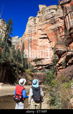 Wanderer am West Fork am Oak Creek im Herbst Stockfoto