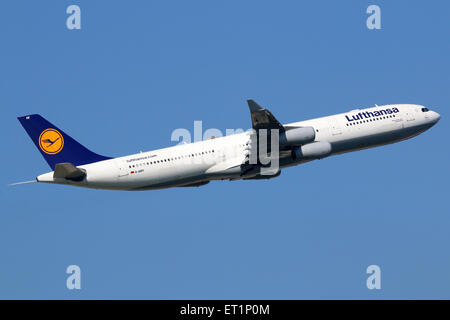 Frankfurt, Deutschland - 17. September 2014: Ein Lufthansa Airbus A340-300 von Frankfurt International Airport (FRA) ausziehen. Luft Stockfoto