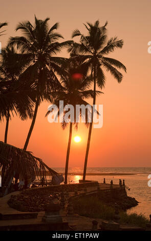 Palmen Sonnenuntergang; Veli Tourist Village; Trivandrum; Thiruvananthapuram; Kerala; Indien; Asien Stockfoto