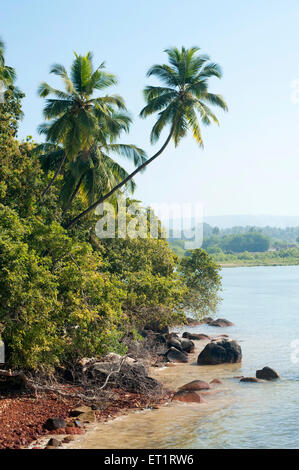 Vengurla Strand von Sindhudurg; Maharashtra; Indien Stockfoto