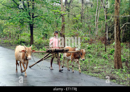 Bauer mit Ochsenkarren in Dandeli in Karnataka Indien Asien Stockfoto