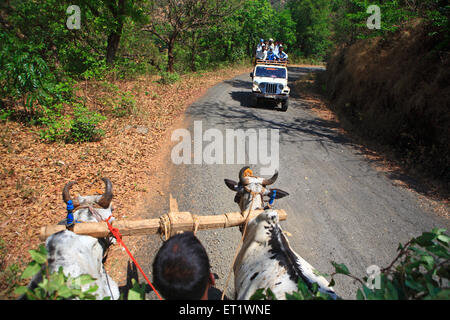Bauer auf Ochsenkarren und Reisende auf pickup Jeep Bhandardara Maharashtra Indien Asien Stockfoto