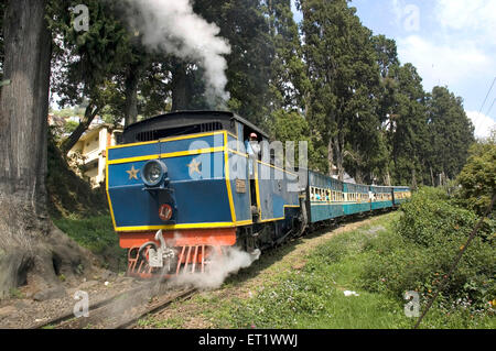 Spielzeugzug; Nilgiri Mountain Railway; Dampflokomotive; Coonoor; Nilgiri Mountains; Western Ghats; Tamil Nadu; Indien; Unesco-Weltkulturerbe Stockfoto