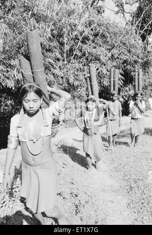 Wancho Stamm Mädchen holen Wasser in Bambusrohren; Tirap District; Arunachal Pradesh; Indien; Asien; Altes Vintage 1900er Bild Stockfoto