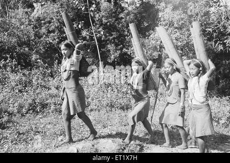 Wancho Stamm Mädchen holen Wasser in Bambusrohren; Tirap District; Arunachal Pradesh; Indien; Asien; Altes Vintage 1900er Bild Stockfoto