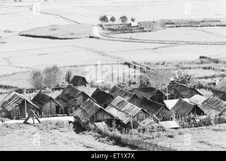 Reisfeld; Tirap-Bezirk; Arunachal Pradesh; Indien; Asien; Altes Vintage 1900er Bild Stockfoto