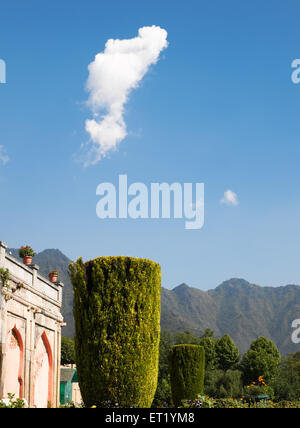Nishat Garden; Srinagar; Kashmir; Jammu und Kashmir; Union Territory; UT; Indien; Asien Stockfoto