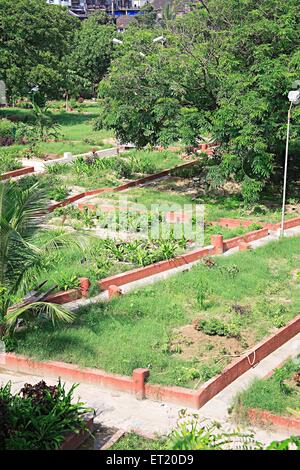 Muslimischer Friedhof; Bada Kabristan; Chandanwadi; Maharshi Karve Road; Marine Lines; Bombay; Mumbai; Maharashtra; Indien; Asien; Asiatisch; Indisch Stockfoto