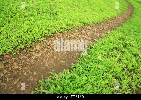 Waldweg; Sanjay Gandhi National Park; Borivali; Bombay; Mumbai; Maharashtra; Indien; Asien; Asiatisch; Indisch Stockfoto