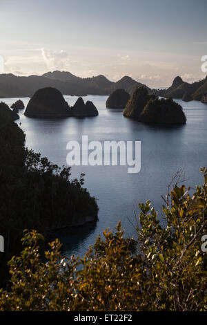 Kalksteininseln erheben sich aus einer wunderschönen Lagune in Raja Ampat, Indonesien. Diese Region birgt sehr hohen Artenvielfalt. Stockfoto